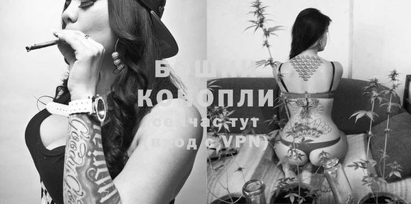 метадон Новодвинск