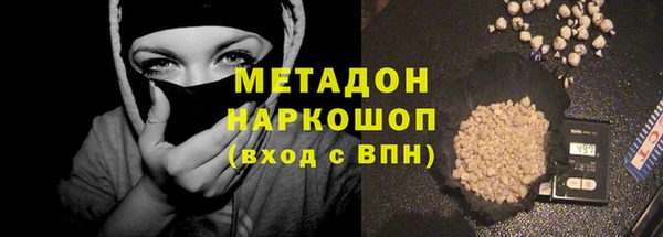 прущие грибы Новокубанск
