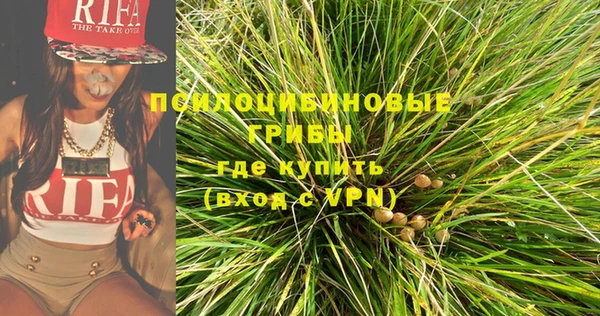 марки nbome Новозыбков