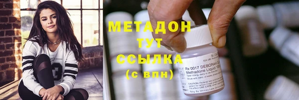 прущие грибы Новокубанск