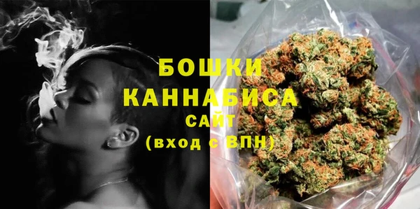 прущие грибы Новокубанск