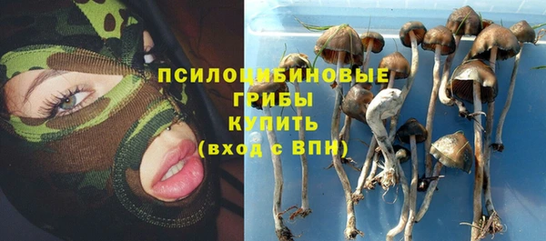 метадон Новодвинск
