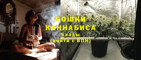 прущие грибы Новокубанск